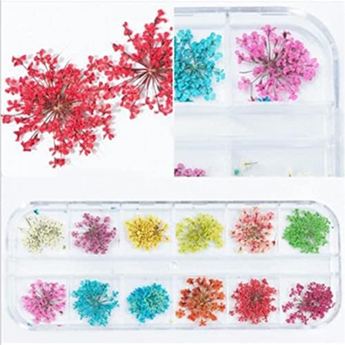 12 Renkler/Kutu 3D Tırnak Dekorasyon Dantel Gerçek Kurutulmuş Çiçek Selofan Sequins Jel Sanat İpuçları Doğal Petal Manikür Araçları,5g