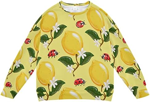 Sarı Limonlar Ladybirds Erkek Kız Kazak Toddler Crewneck Kazak Kazak Uzun Kollu Sonbahar Kış Giysileri