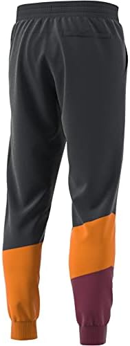 adidas Erkek Spor Giyim Colorblock Pantolon