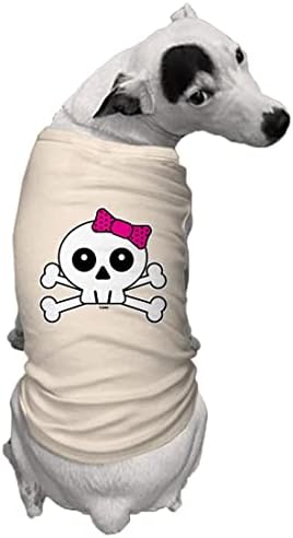 Pembe Fiyonklu Köpek Gömlekli Kafatası (Doğal, X-Küçük)