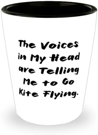 Motivasyonel Uçurtma Uçurmak, Kafamdaki Sesler Bana Uçurtma Uçurmamı Söylüyor, Uçurtma Uçurmak için Tatil Kadehi
