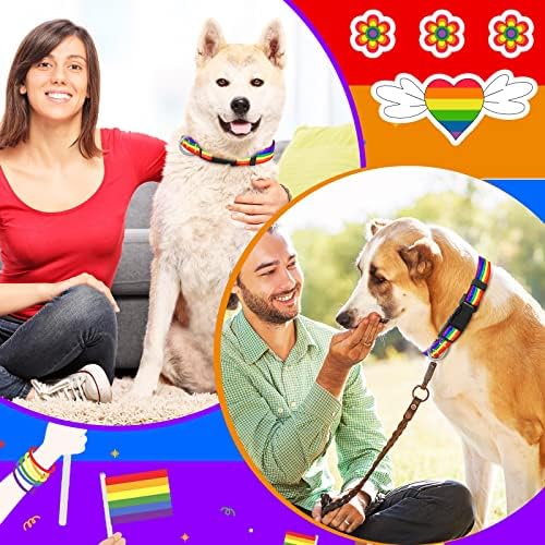 6 Adet Gökkuşağı Bayrağı Köpek Tasmaları Eşcinsel Gurur Naylon Pet Yaka LGBTQ Bayrak Yaka Ayarlanabilir Kadın Erkek için Plastik Toka