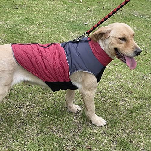 HonpraD Küçük Köpekler için Evcil Hayvan Giysileri Kız Elbise Yansıtıcı Su Geçirmez Pet Coat Kış Sıcak Köpek Ceket Küçük Orta Büyük